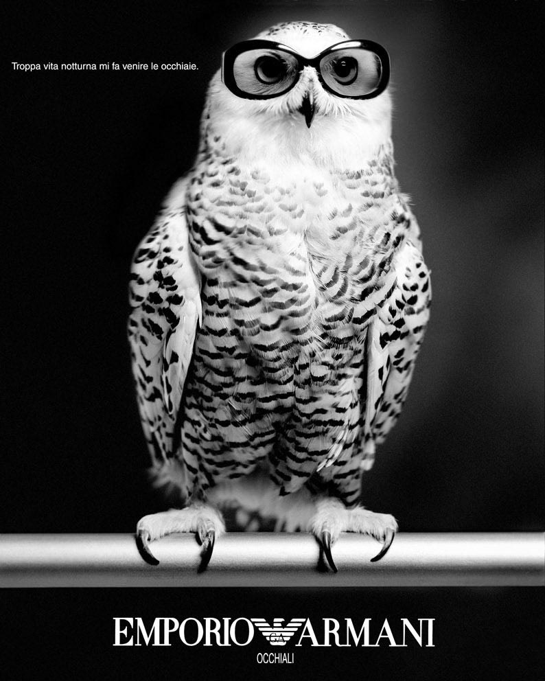 Emporio Armani Eyewear Campaign — Snowy Owl